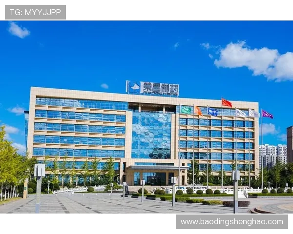 凯发真人集团最新动态：2024年游戏创新与用户体验提升方案